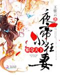 上门狂婿张玄林青涵
